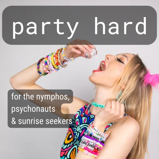 Kandi Bar - Party Hard Variety 12 Pack