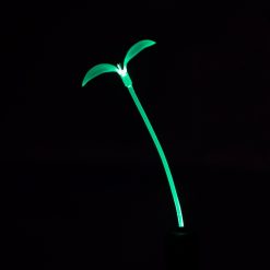 Green - Light-up GlowSprout