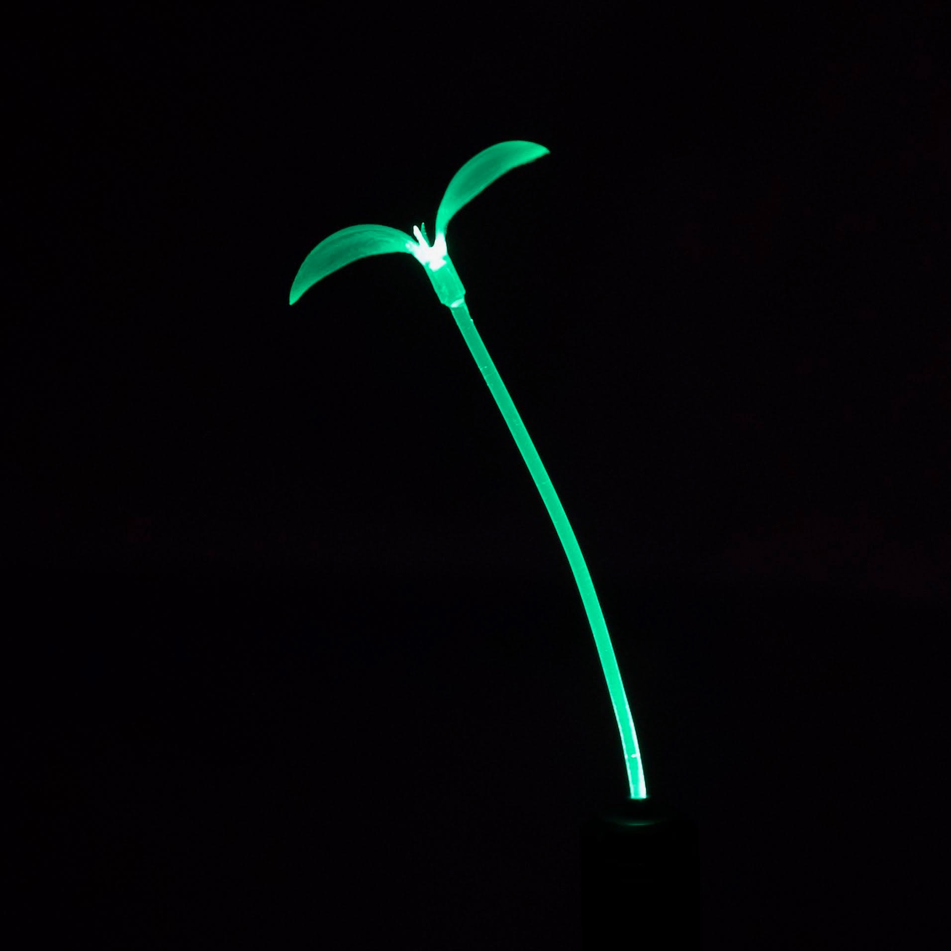 Green - Light-up GlowSprout
